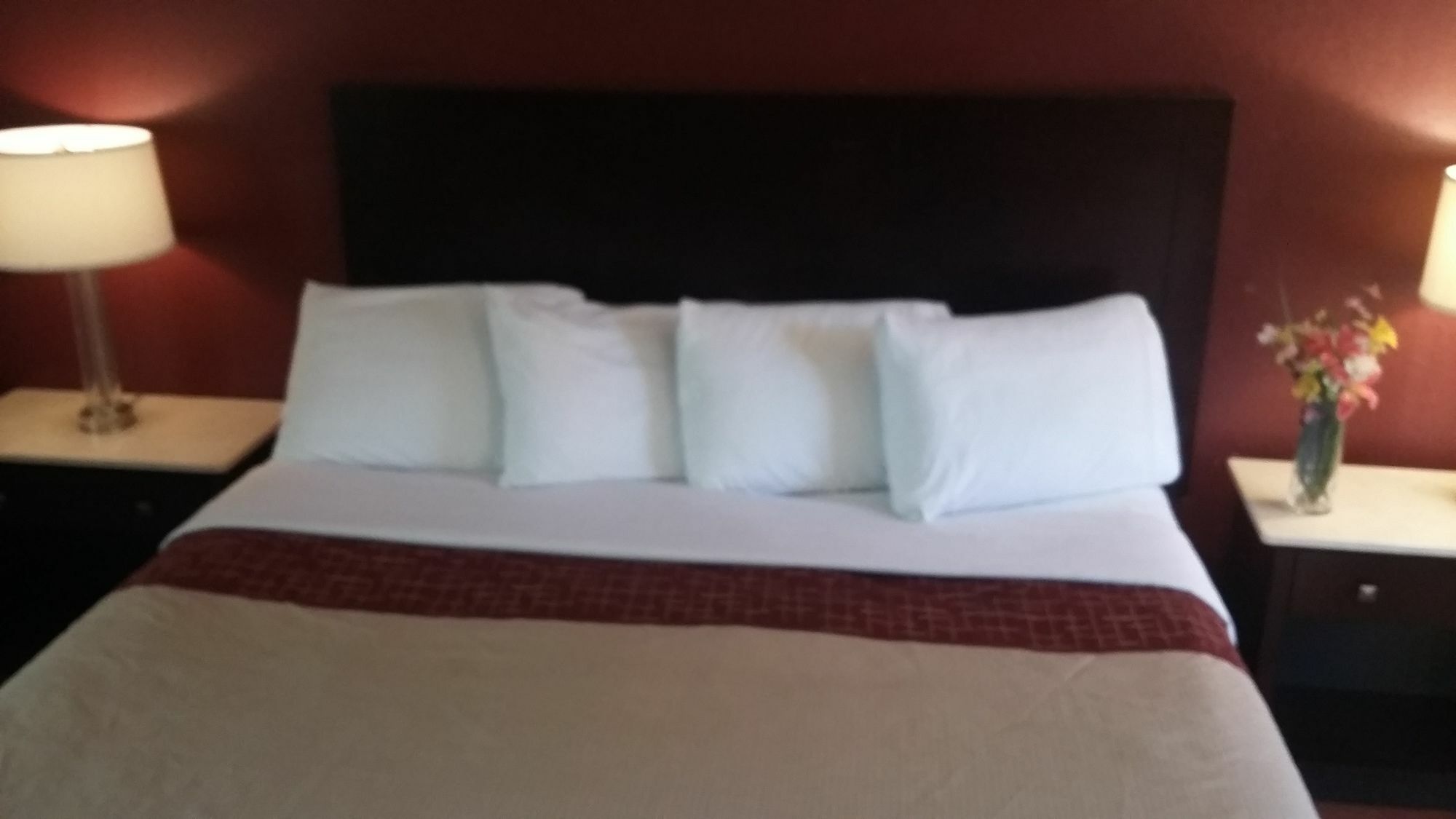 Athens Lodge エクステリア 写真